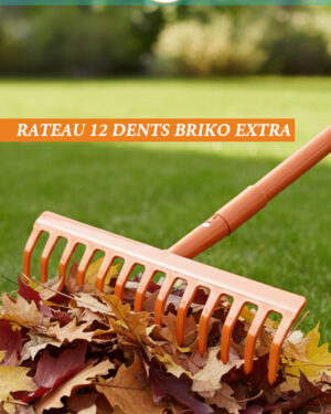 RATEAU 12 DENTS